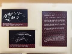 -个园