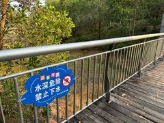 -聚龙山公园