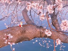 -颐和园