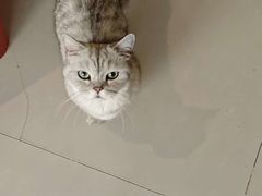 -平行世界·猫咖(首经贸店)