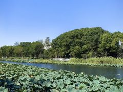 -新江湾城公园
