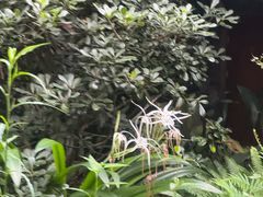 -成都市活水公园