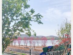 -羊山湖公园