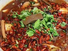 -盐与味葱葱鲫鱼•自贡菜江湖菜(春熙店)