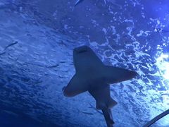 -多彩贵州城极地海洋世界