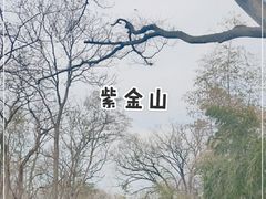 -紫金山山顶公园