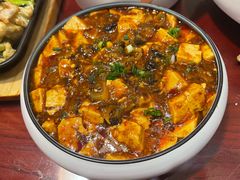 -邵年鸽(杨庄店)