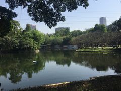 -晓港公园