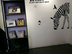 -橡皮照相馆