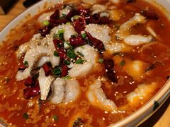 椒麻鱼-十三式重庆江湖菜(金茂览秀城店)