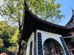 -十八棵（老龙井）御茶园(老龙井店)