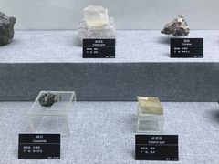 -甘肃地质博物馆