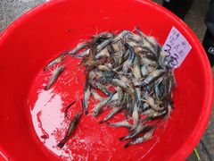 -西华肉菜市场(荔湾店)