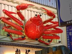 -蟹道乐(道顿堀本店)