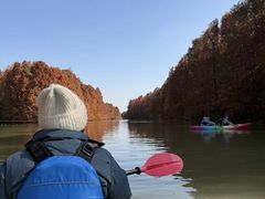 -上海海湾国家森林公园