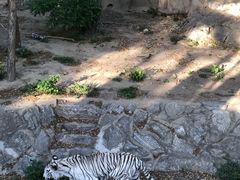 -太原动物园