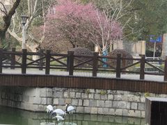 -峙山公园