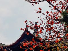 -粤剧艺术博物馆