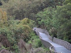 -金鸡山公园