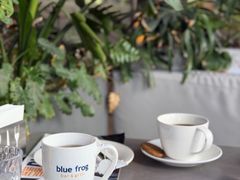 -bluefrog蓝蛙(皇庭广场店)