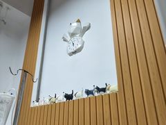 -乐派堂宠物医院·猫友好· 心脏科(东街店)