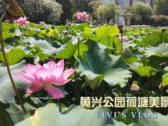-黄兴公园