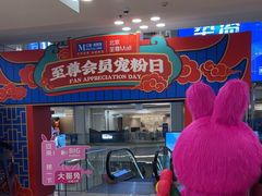 -红星美凯龙北京至尊MALL(东四环中路店)