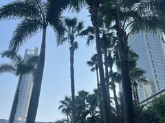 -广州香格里拉酒店