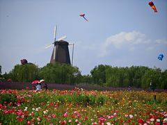-漩门湾国家湿地公园