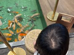 -金河半岛园林酒家(金融城店)