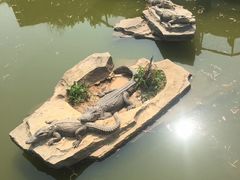 -南昌动物园