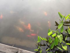 -天目湖涵田度假村