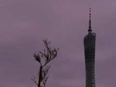 -小茶闲舍·观景商务茶馆(广州塔店)