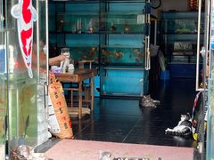 -顺德人家食府(黄金广场店)