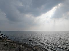 -合肥滨湖国家森林公园