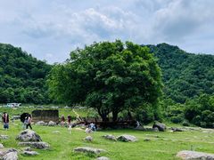 -狮子沟牧场