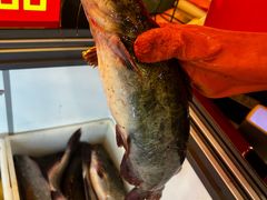 -江湖水乡铁锅炖魚(周庄嘉园店)