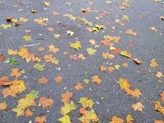 -临沂大学体育馆