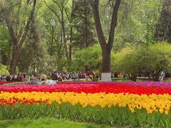 -西宁市人民公园(城西区)