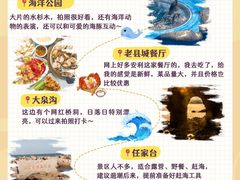 -日照海滨国家森林公园