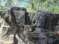 -青藏高原野生动物园