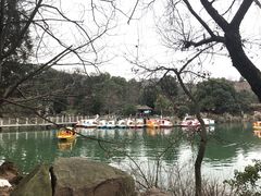 -白马涧龙池景区