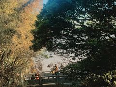 -外蒲山