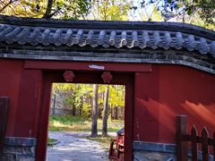 -阳台山自然风景区