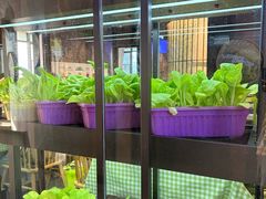 -番食园鲜食火锅(高新店)