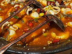 -蜀都丰 川菜·水煮活鱼(万象九宜城店)
