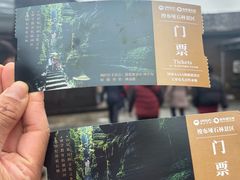 -梭布垭石林景区