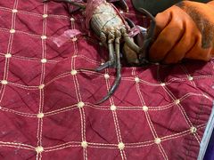 -凤凰路何眼镜香辣蟹(花果园店)