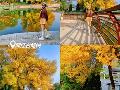-石家庄市植物园