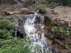 -呀诺达热带雨林